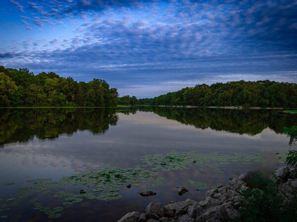 Red Haw Photograph by Brian Sims Photography