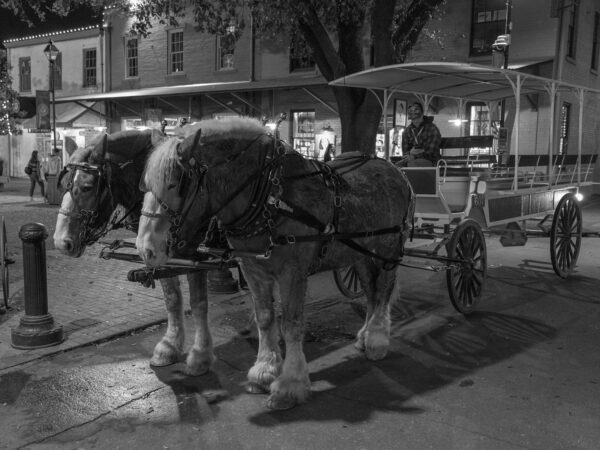 Waiting for a Ride Photograph by Brian Sims Photography