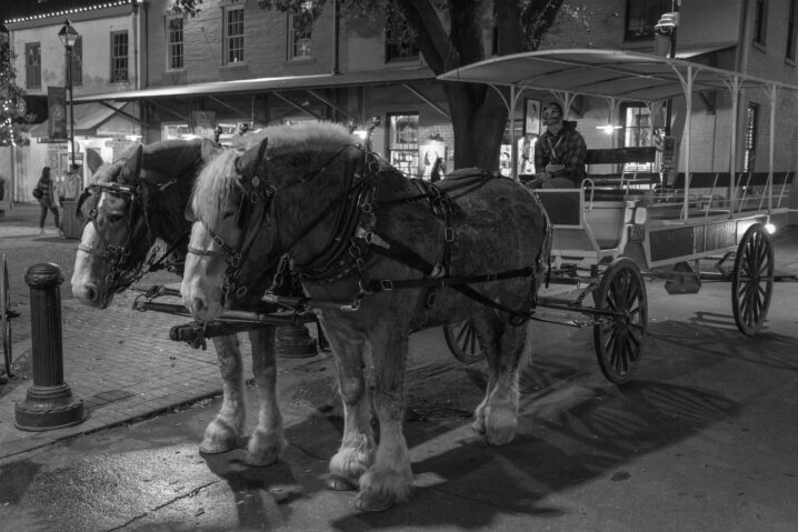 Waiting for a Ride Photograph by Brian Sims Photography Waiting for a Ride Photograph by Brian Sims Photography