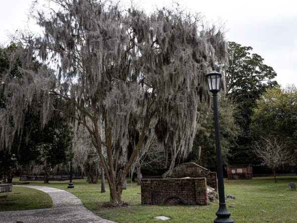 Weeping in the Cemetary Photograph by Brian Sims Photography