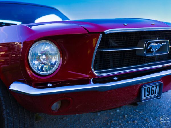 1967 Mustang Photograph by Brian Sims Photography
