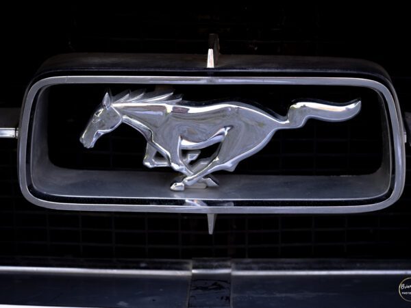 CD Shoot Photograph by Brian Sims Photography