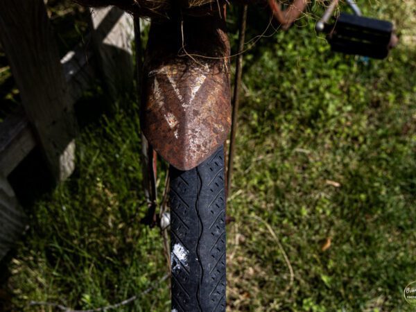 Fender Photograph by Brian Sims Photography