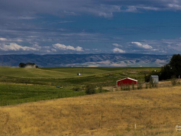 The Blue Mountains Photograph by Brian Sims Photography